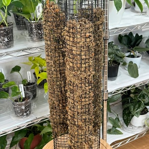 24&quot; Stackable Sphagnum Moss Pole, Homemade Moss Totem