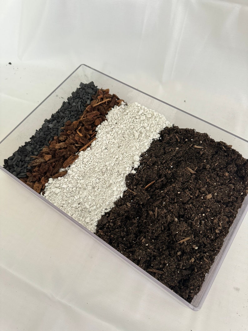 May include: A clear plastic tray filled with four layers of different potting mediums: black charcoal, brown wood chips, white perlite, and dark brown soil.