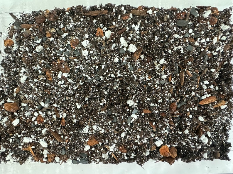 May include: Close-up of a dark brown potting mix with white perlite, small pieces of bark, and other organic matter.