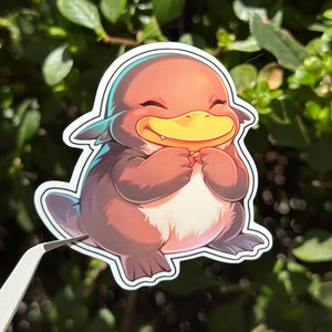 Platypus Cute Sticker, Cute Platypus Decal, Animal Art, Water Bottle, Journal Sticker, Waterproof Sticker, Platypus sticker