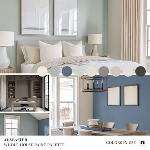 Alabaster Sherwin Williams Inspired Whole House Color Palette, Interior Designer Curated Digital Modern Home Paint Palette, Neutral Tones image 3