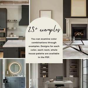 Alabaster Sherwin Williams Inspired Whole House Color Palette, Interior Designer Curated Digital Modern Home Paint Palette, Neutral Tones image 11