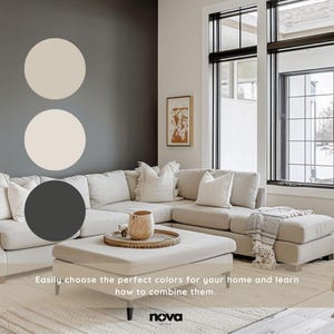 Alabaster Sherwin Williams Inspired Whole House Color Palette, Interior Designer Curated Digital Modern Home Paint Palette, Neutral Tones image 7