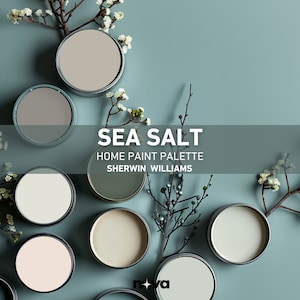 SEA SALT Sherwin Williams color palette whole house paint palette modern coastal style best neutral green color coordinating color scheme