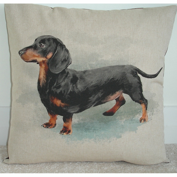 Dachshund pillow covers hotsell
