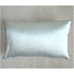 May include: A light gray satin pillow with a smooth, wrinkle-free surface. The pillow is rectangular and has a simple design.