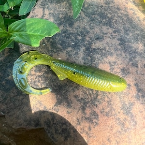 May include: A green and yellow soft plastic fishing lure with a curved tail. The lure has a segmented body and is speckled with black dots. The lure is lying on a brown surface with green leaves in the background.