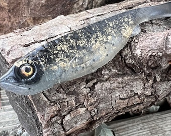 Roma Trout - 7.5