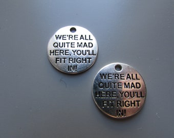 15pcs we are all quite mad here you/'ll fit right in Silver tone charm 20mm