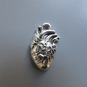 Anatomical Heart Jewellery making charm pendant