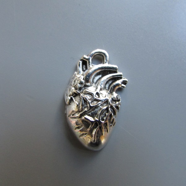 Anatomical Heart Jewellery making charm pendant