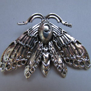 Puede incluir: Un broche de metal plateado en forma de polilla con detalles intrincados y un acabado texturizado.