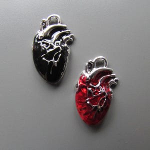 Anatomical Heart Jewellery making charm pendant