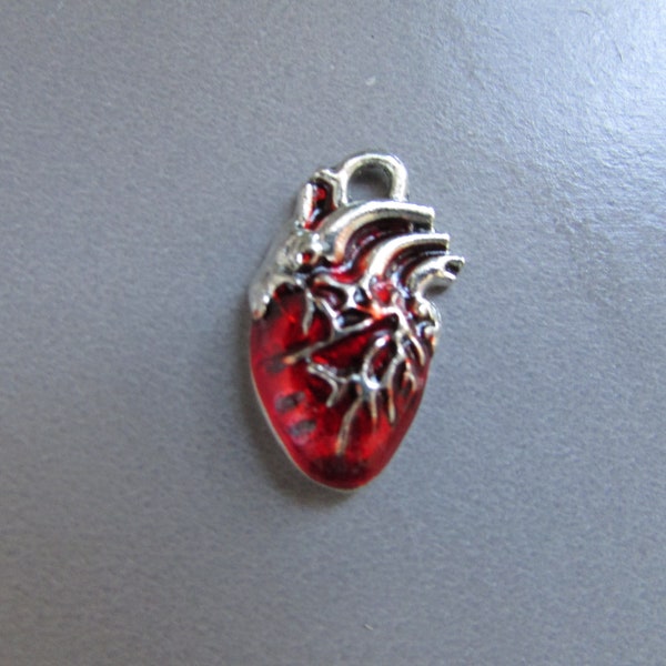 Anatomical Heart Jewellery making charm pendant