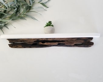 Beach Shelf, Driftwood Shelf, Rustic Wall Shelf, Coastal Wall Art, Spalted Wood