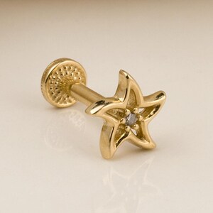 Sterpiercing, kraakbeenoorbel, 14K massief gouden traguspiercing, minimalistische traguspiercing, gouden studpiercing