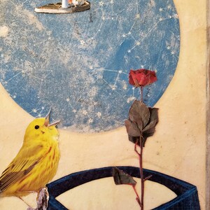 Drawn From This World (collage with star map)