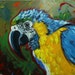 see more listings in the Pinturas al óleo de aves/abejas section