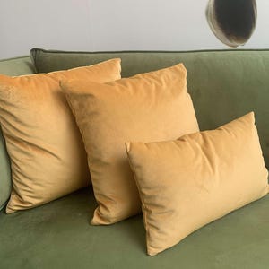 Gold Velvet Throw Pillow Cover - Luxury Velvet Cushion - Custom Size Options - Soft Decorative Pillow - (Only Cover)