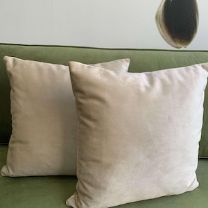 Beige Velvet Throw Pillow Cover - Luxury Velvet Cushion - Custom Size Options - Soft Decorative Pillow - (Only Cover)