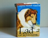 Livre de chien Vintage, gar&ccedil;on de Sunnybank, livre pour enfants animaux chien