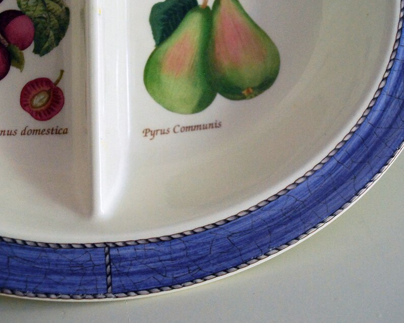Queen/'s Ware Blue Vegetable Bowl Sarah/'s Garden Earthenware English China Fruit and Butterflies Wedgwood Divided Serving Bowl