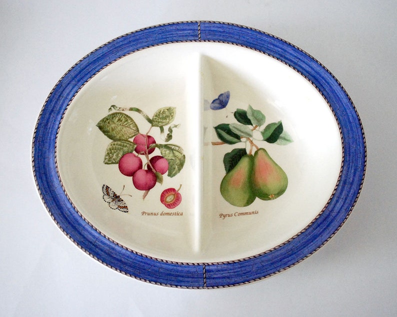 Queen/'s Ware Blue Vegetable Bowl Sarah/'s Garden Earthenware English China Fruit and Butterflies Wedgwood Divided Serving Bowl