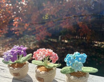 Hand Crocheted flower pot Scorpion grasses( forget-me-not flowers)