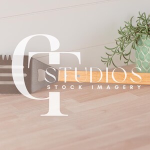 May include: A wooden handled spatula with a metal blade and a bottle opener. The spatula is lying on a light wood surface with a green potted plant in the background.
