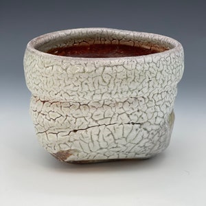 May include: A white ceramic planter with a crackled glaze and a brown rim. The planter has a rounded shape and a slightly uneven base.