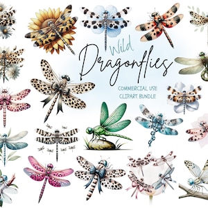 Puede incluir: Una colección de ilustraciones en acuarela de libélulas en varios colores y patrones. Algunas libélulas están emparejadas con flores, mientras que otras tienen lazos decorativos. También está presente el texto "Wild Dragonflies" y "Commercial Use Clipart Bundle".