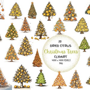 CITRUS CHRISTMAS Trees Clipart- 25 immagini PNG di alberi di Natale di limone, lime, arancia e pera per uso commerciale! Disegni carini e stravaganti!
