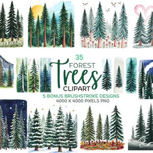 FORESTIER CLIPART Aquarelle d'arbres forestiers en toutes saisons, de motifs d'arbres au pinceau, de scènes de forêt, d'arrière-plans forestiers saisonniers et plus encore !