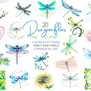 Puede incluir: Un conjunto de 20 ilustraciones de libélulas de acuarela en varios colores y poses. Las libélulas se representan sobre un fondo blanco con algunos elementos florales y de follaje. El texto "20 Dragonflies" está escrito en letras azules y blancas. El texto "PNG CLIPART" está escrito en letras negras. El texto "6 BONUS PATTERNS" está escrito en letras negras. El texto "4000 X 4000 PIXELS" está escrito en letras negras. El texto "COMMERCIAL USE" está escrito en letras negras.