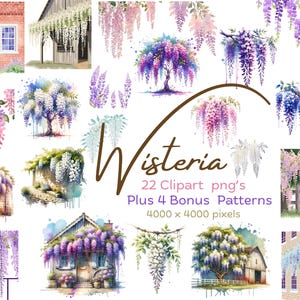 WISTERIA CLIPART- Wisteria flowers, trees and hanging on houses, barns ect. Blue, purple, pink and white branches for borders and edges!