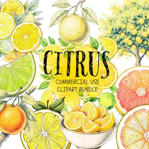 Op de afbeelding: Waterverfillustratie met verschillende citrusvruchten, waaronder citroenen, limoenen en sinaasappels, met het woord "CITRUS" in grote zwarte letters. De afbeelding bevat gesneden en hele vruchten, een kom met citroenpartjes en een citrusboom.
