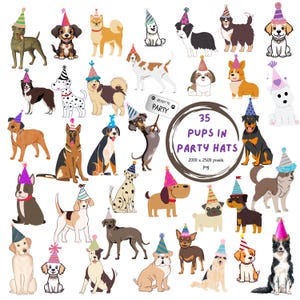 CLIPART CHIENS en chapeaux de fête. PNG 2000 x 2500 pixels. Ces 35 chiots coiffés d'un chapeau de fête sont prêts à faire la fête !  Parfait pour un anniversaire ou une fête !