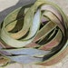 see more listings in the Ribbons Silk Watercolor section