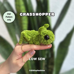 May include: A green crocheted grasshopper plush toy with large black eyes. The toy is being held in a hand with two rings. The text "PDF Pattern only" and "LOW SEW" are visible in the image. The text "@didisplushies" is also visible in the image.