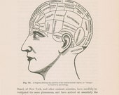 Antique Phrenology Head Illustration Chart - 1897 Illustrated Medical Book Plate