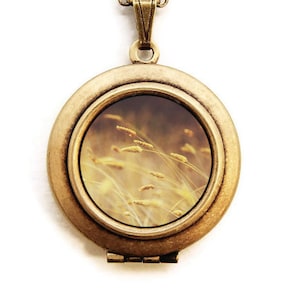 Photo Locket - Golden - Sun-Kissed Stalks Nature Landscape Photo Locket Necklace