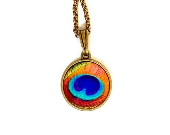 Naszyjnik z zawieszką w kształcie kolorowego pawiego pióra The Eye