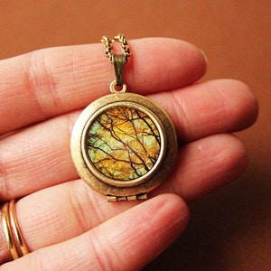 May include: A gold locket necklace with a round, glass-like pendant featuring a photograph of a forest scene with branches and leaves in shades of brown, yellow, and green.