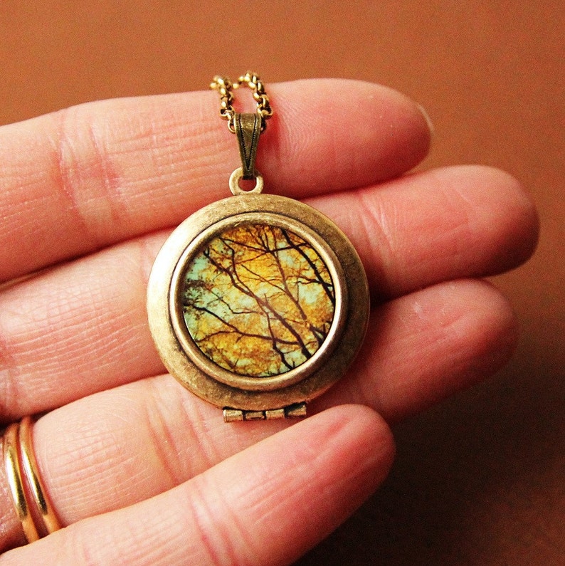 May include: A gold locket necklace with a round, glass-like pendant featuring a photograph of a forest scene with branches and leaves in shades of brown, yellow, and green.