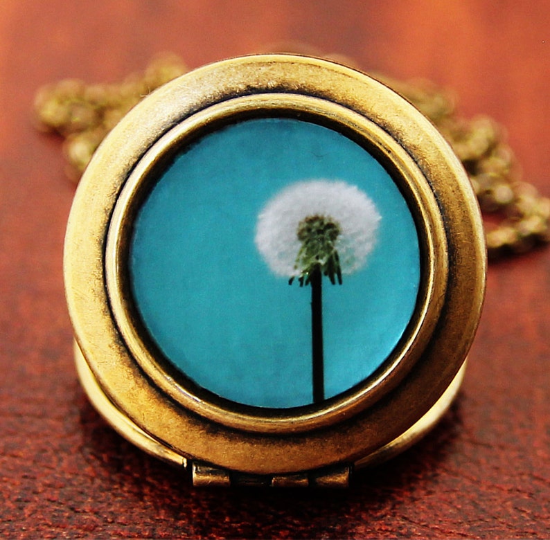 I Wish For A Blue Sky Dandelion Flower Photo Locket Necklace image 2