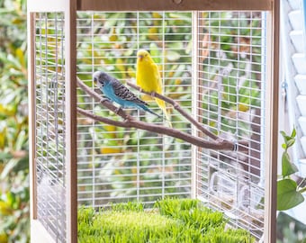 handcrafted, wooden, handcrafted wooden bird cage, birdcages, cage, terrarium, natural bird cage, natural, budgie, canary, bird house