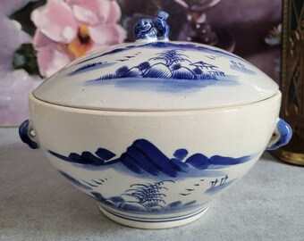 Cuenco asiático con tapa: tarro azul y blanco, tarro de cerámica con tapa, decoración chinoiserie, estilo de decoración grandmillennial, remate de perro Foo