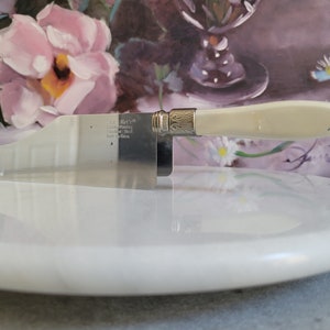 Vintage Kake Kut&#39;r - Stainless Steel Cake Cutter with White Handles