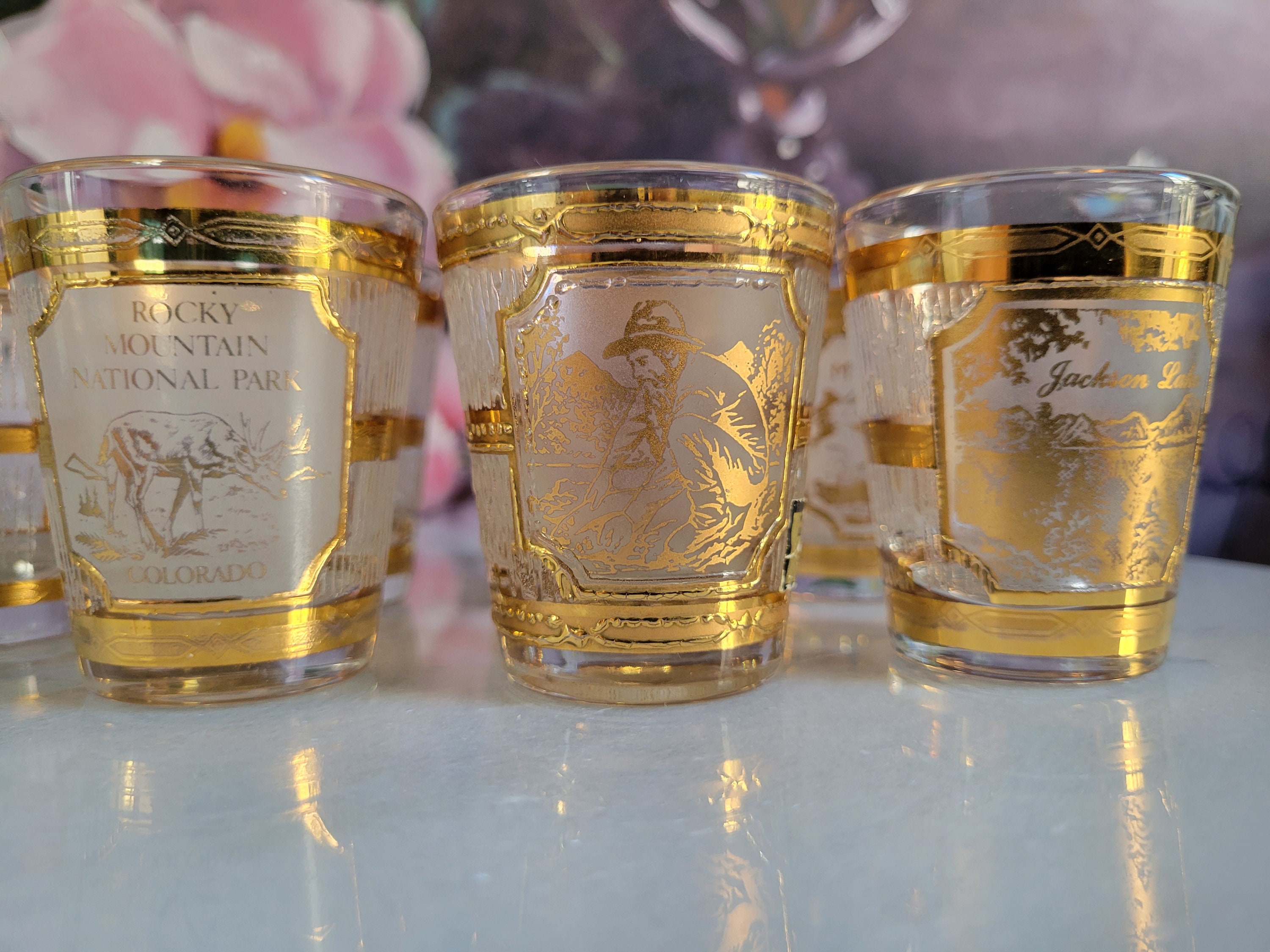 オールドマウンテン oldmountain グラス MOLDS Amazon.co.jp: MOLDS