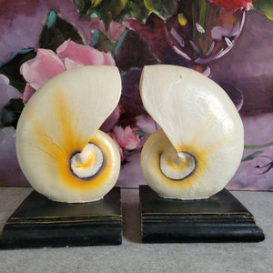 May include: A pair of white and yellow seashell bookends with black bases. The seashells are in the shape of nautilus shells.